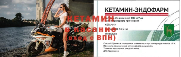 индика Горняк