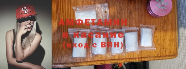 прущие грибы Горно-Алтайск
