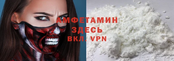 прущие грибы Горно-Алтайск