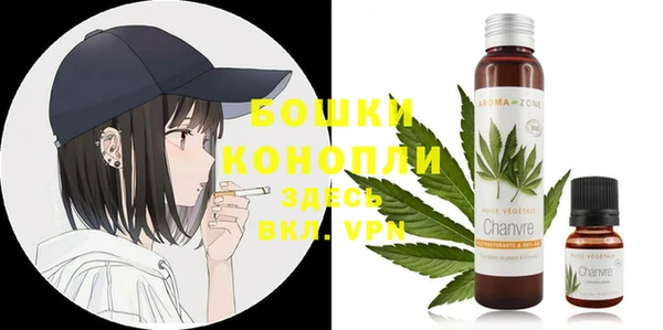 индика Горняк