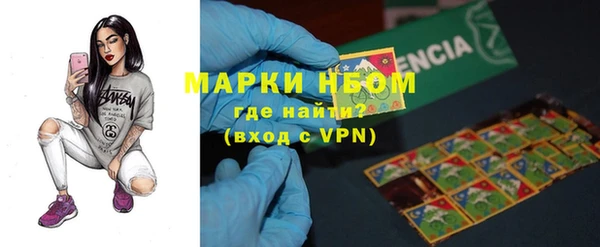 индика Горняк
