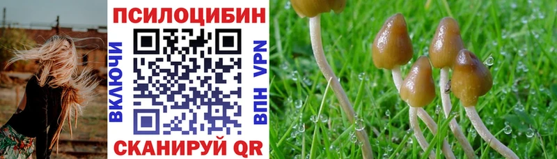 продажа наркотиков  Ефремов  kraken рабочий сайт  Псилоцибиновые грибы мицелий 